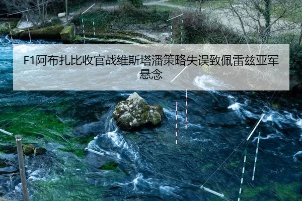 a-bu-zha-bi-shou-guan-zhan-wei-si-ta-pan-ce-lve-shi-wu-zhi-pei-lei-zi-ya-jun-xuan-nian-2-809.jpg